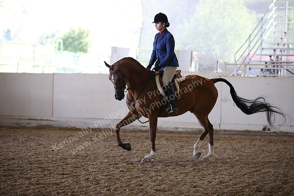 AHANC_Show18_FriAM_1473