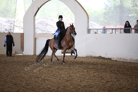 AHANC_Show18_FriAM_1427