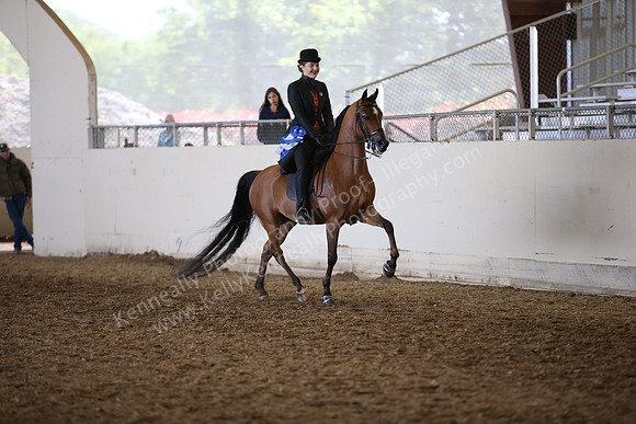 AHANC_Show18_FriAM_1428