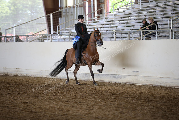 AHANC_Show18_FriAM_1429