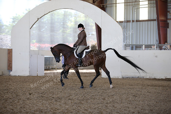 AHANC_Show18_FriAM_1475