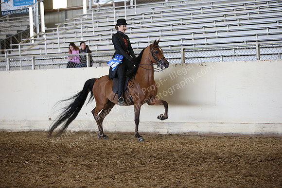 AHANC_Show18_FriAM_1435