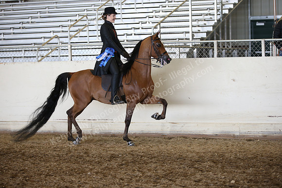 AHANC_Show18_FriAM_1438
