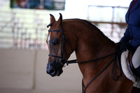 AHANC_Show18_FriAM_1481