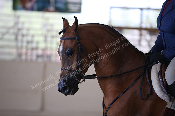 AHANC_Show18_FriAM_1481