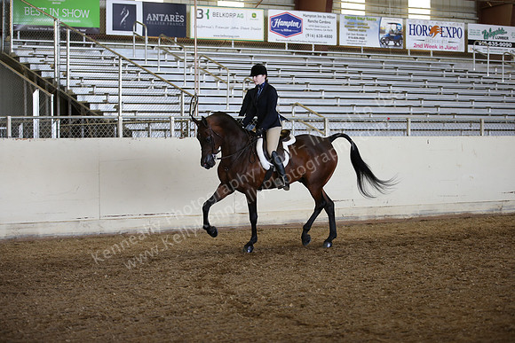 AHANC_Show18_FriAM_1484