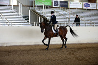 AHANC_Show18_FriAM_1485