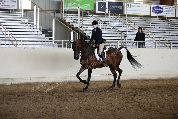 AHANC_Show18_FriAM_1485
