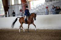 AHANC_Show18_FriAM_1488