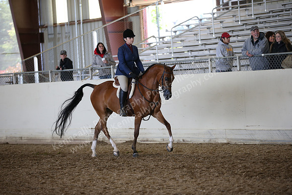 AHANC_Show18_FriAM_1488