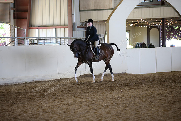 AHANC_Show18_FriAM_1489