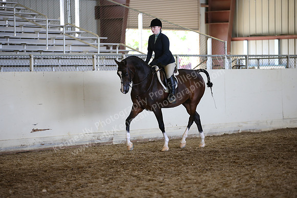 AHANC_Show18_FriAM_1490