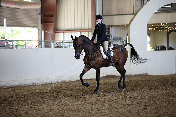 AHANC_Show18_FriAM_1491