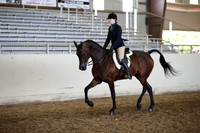 AHANC_Show18_FriAM_1492