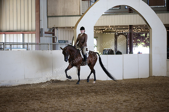 AHANC_Show18_FriAM_1494