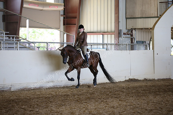 AHANC_Show18_FriAM_1495