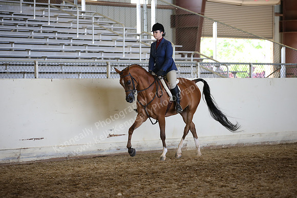 AHANC_Show18_FriAM_1497