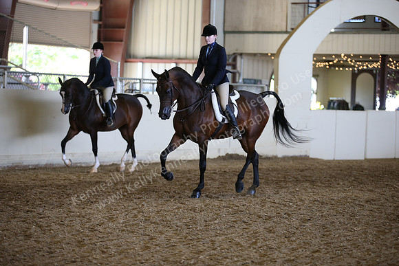 AHANC_Show18_FriAM_1498