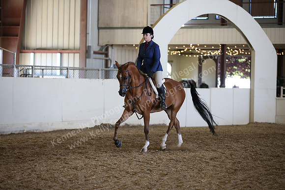 AHANC_Show18_FriAM_1499