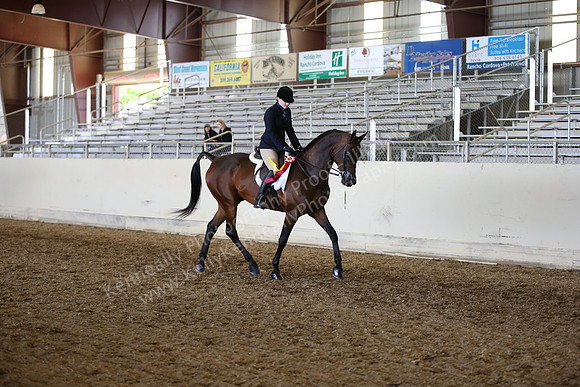 AHANC_Show18_FriAM_1505