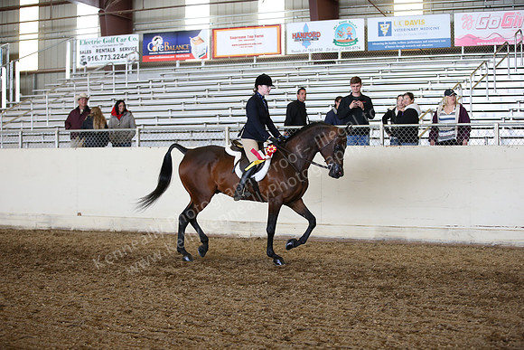 AHANC_Show18_FriAM_1507
