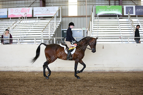 AHANC_Show18_FriAM_1509