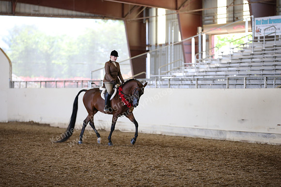 AHANC_Show18_FriAM_1511