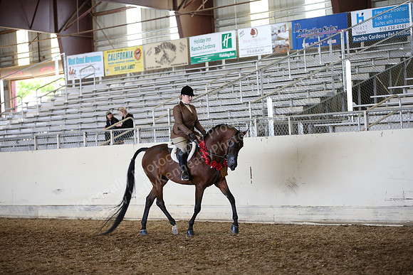 AHANC_Show18_FriAM_1513