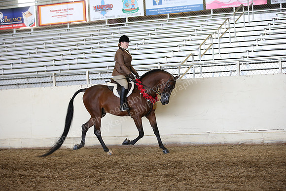 AHANC_Show18_FriAM_1515