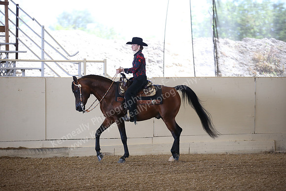 AHANC_Show18_FriPM_1528