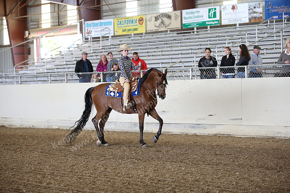 AHANC_Show18_FriPM_1535