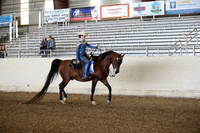 AHANC_Show18_FriPM_1537