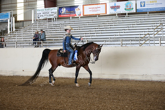 AHANC_Show18_FriPM_1537