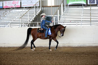 AHANC_Show18_FriPM_1539