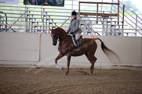 AHANC_Show18_FriPM_1546