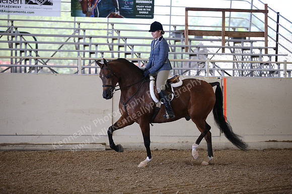 AHANC_Show18_FriPM_1549