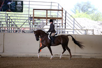 Class 72 HA/AA Hunter Pl Open Choice & Elite