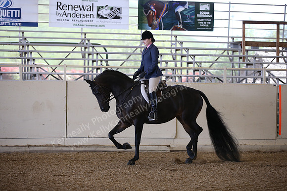 AHANC_Show18_FriPM_1552