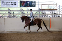 AHANC_Show18_FriPM_1554