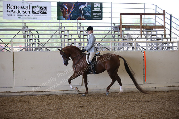 AHANC_Show18_FriPM_1554