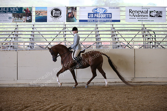 AHANC_Show18_FriPM_1555