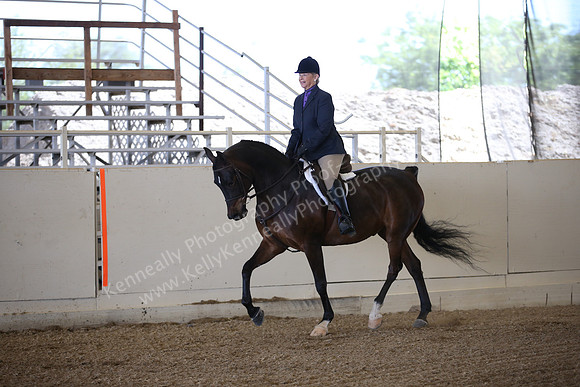 AHANC_Show18_FriPM_1556