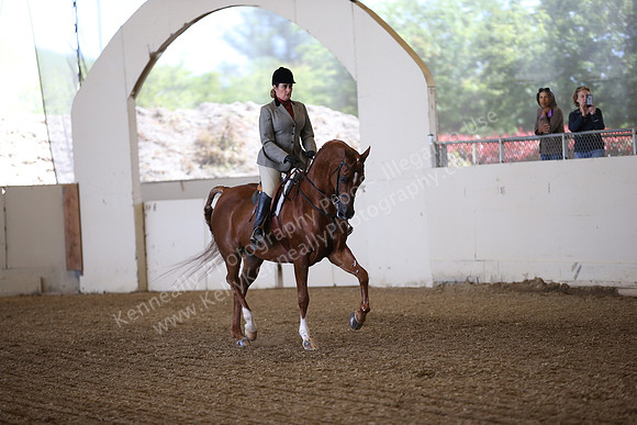 AHANC_Show18_FriPM_1563