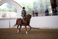 AHANC_Show18_FriPM_1564
