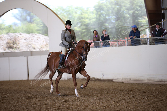 AHANC_Show18_FriPM_1564