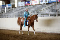 AHANC_Show18_FriPM_1590