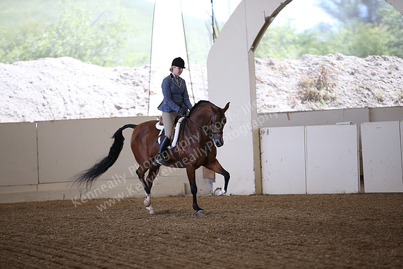 AHANC_Show18_FriPM_1566