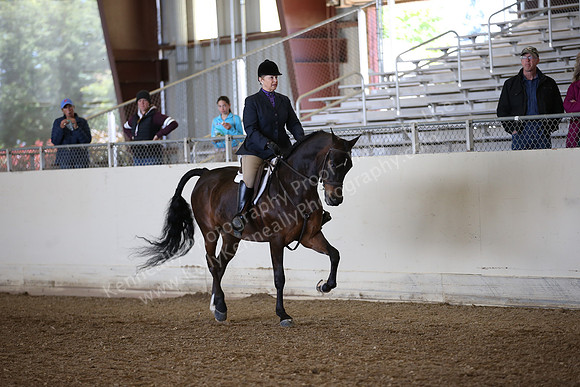 AHANC_Show18_FriPM_1571