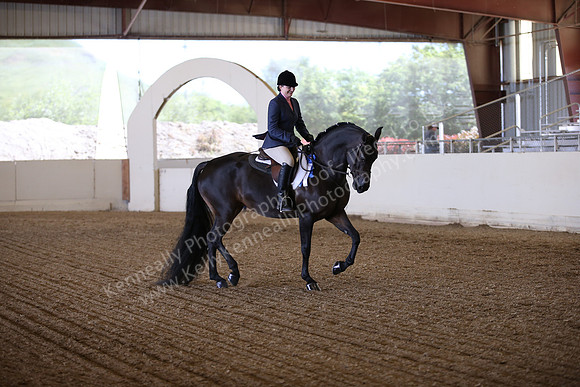 AHANC_Show18_FriPM_1573