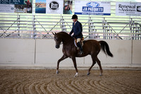 Class 75 Arabian Hunter Pl Jr Horse Champ